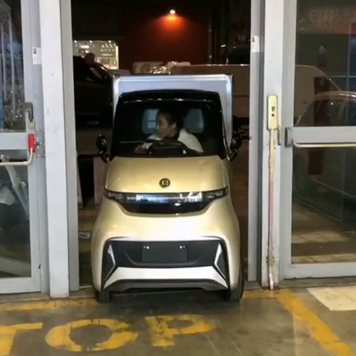 Electric Food Delivery Tricycle Truck high quality